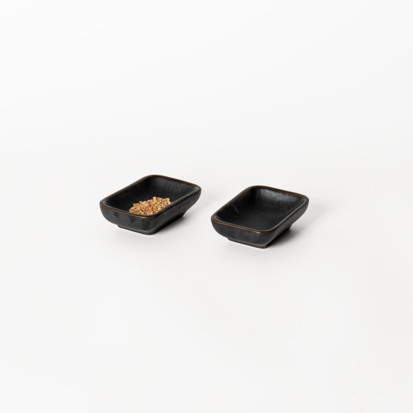 Salsera - Japanese