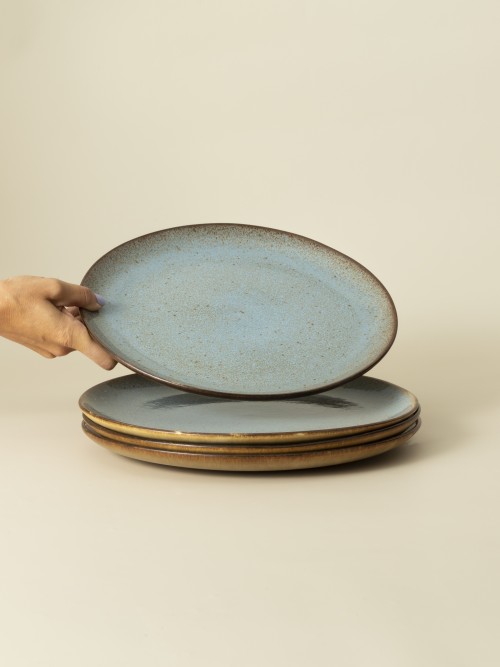 Plato llano  Flower Seeds